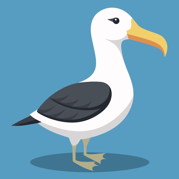 Albatross vector illustration