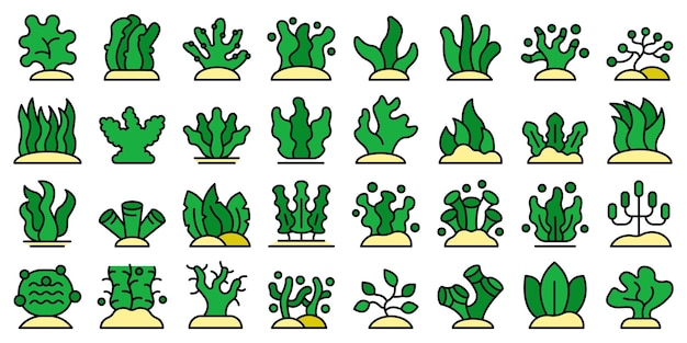 Algae icons set vector flat