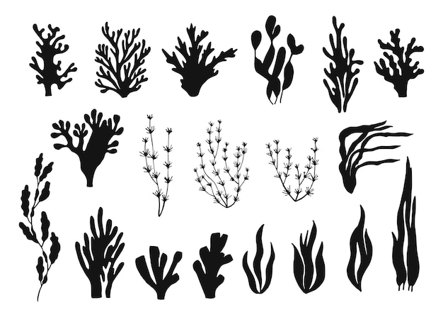 Algae marine vector silhouette set