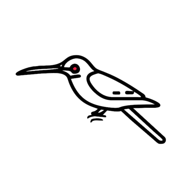 Allens Hummingbird bird white icon vector illustration