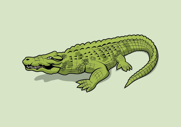 Vector alligator crocodile cartoon character design illustration