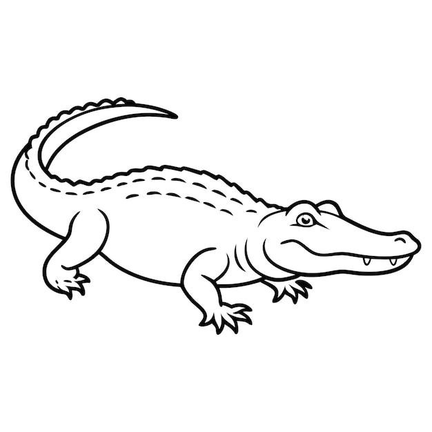 Alligator line art