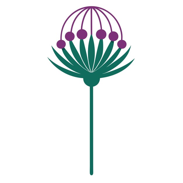 Vector allium flower minimal design vector