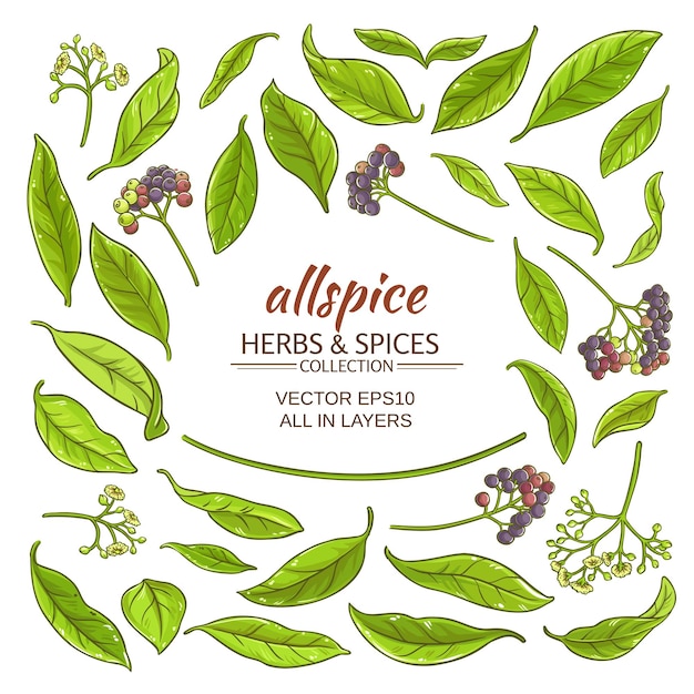 Allspice elements set