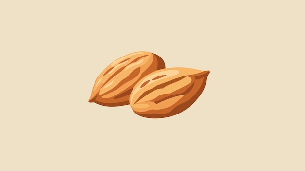 Vector almond flat icon bean vector illustration