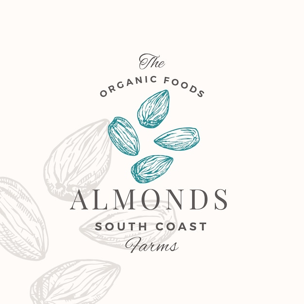 Vector almond logo template hand drawn nuts sketch with retro typography premium plant based vegan food badge emblem isolated