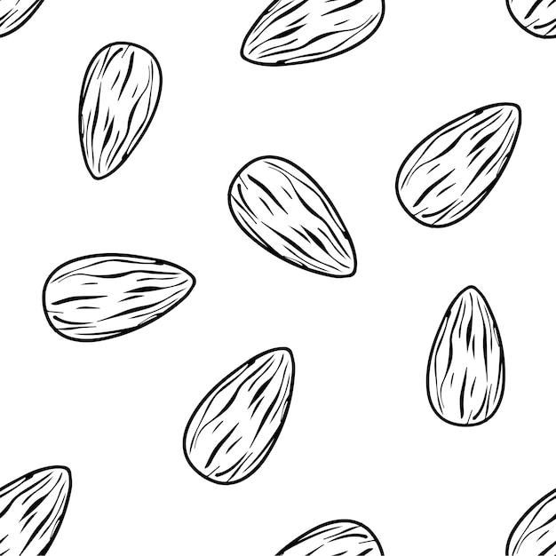 Almond nut seamless background seeds of the tree