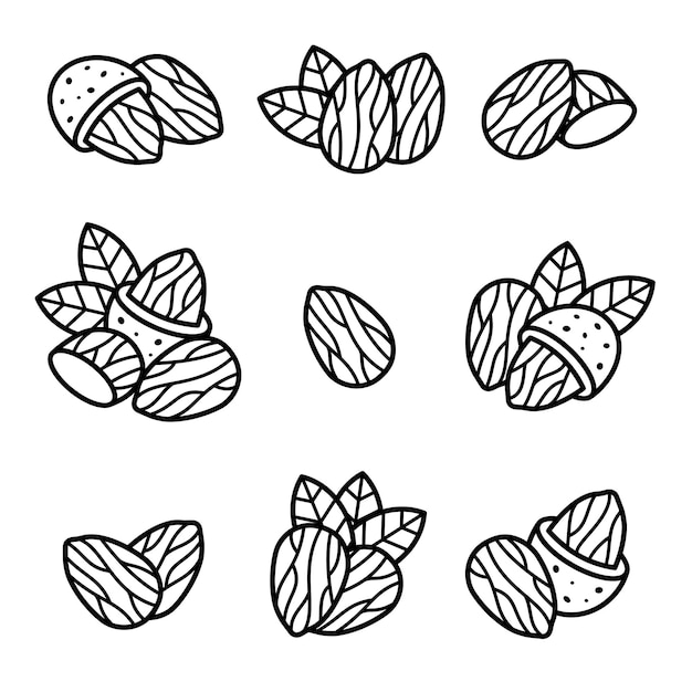 Almond set Collection icon almond Vector