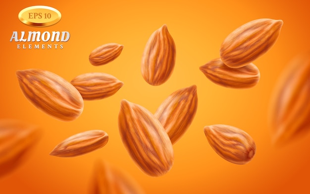 Almond set, detailed realistic kernels isolated on warm background