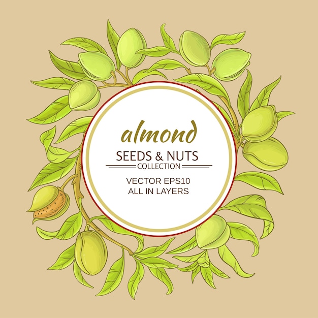 Almond vector frame