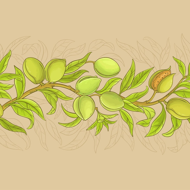 Almond vector pattern