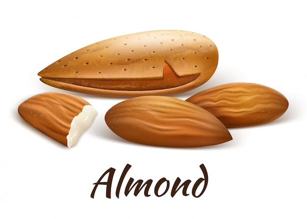 almonds Inshell and kernels nearby. Whole fruits and a piece of chipped part.