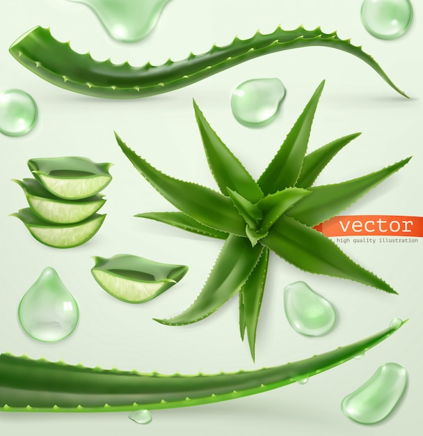 Aloe vera and drop. Medicinallant. 3d  icon set