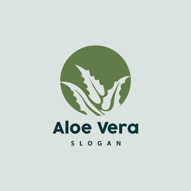 Aloe Vera Logo Herbal Plant Vector Illustration Symbol Icon Simple Design