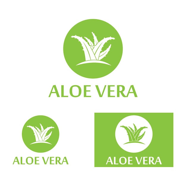 Aloe vera logo vector ilustration template