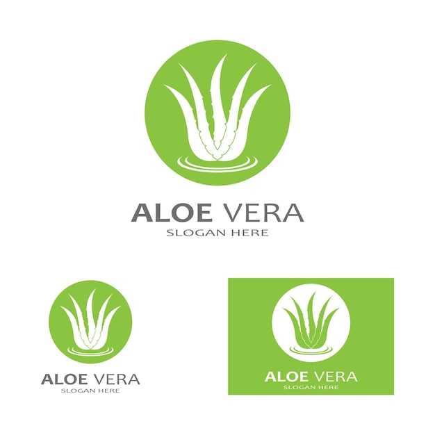 Aloe vera logo vector ilustration template