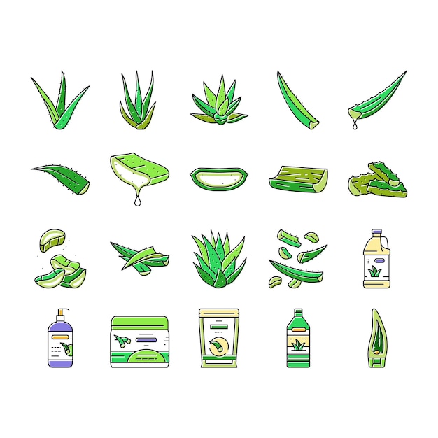 Aloe vera nature green care icons set vector