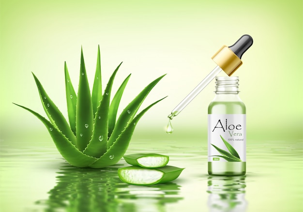 Aloe vera plant with fresh drops and dropper glass bottle. Collagen serum package mockup. Beauty cosmetics  product ads poster template. Realistic 3d vector illustration on water ripple background