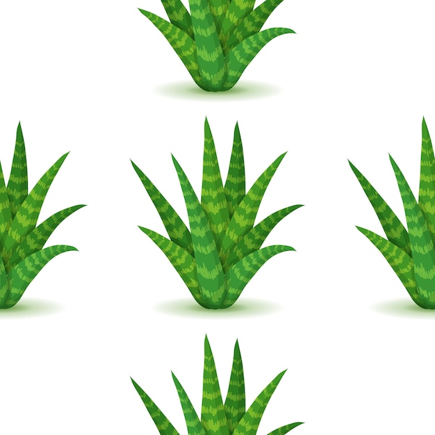 Aloe vera vector seamless pattern