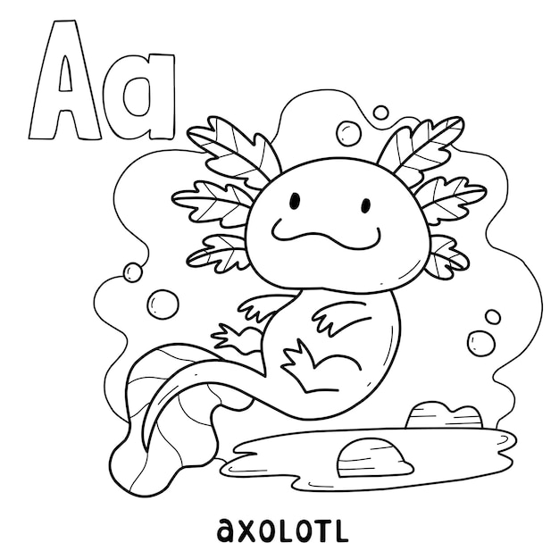 Alphabet animal axolotl for coloring with word hand drawn animal cartoon