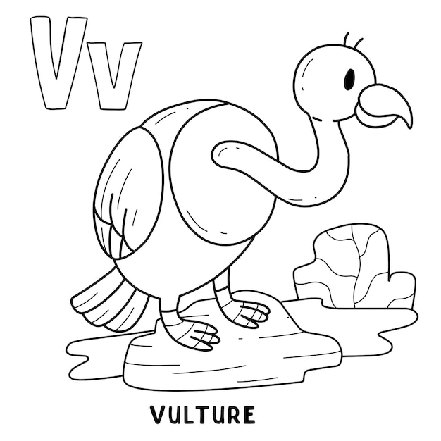 Alphabet animal vulture for coloring with word hand drawn letter animal cartoon