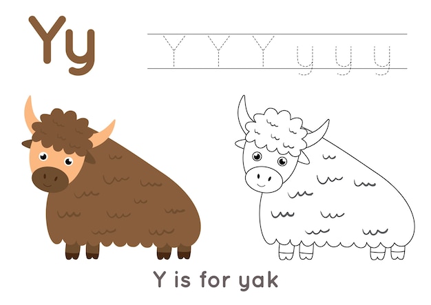 Alphabet coloring page for kids. Basic writing activity. Tracing ABC letters worksheet. Letter Y with cute cartoon yak.