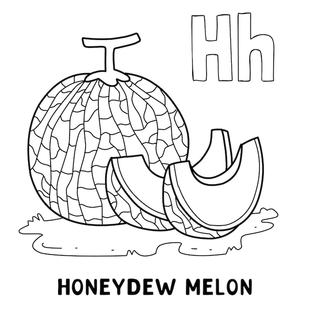 Alphabet fruit honeydew melon for coloring with word hand drawn letter fruit cartoon