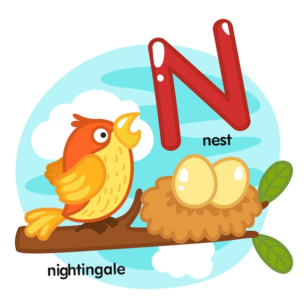 Alphabet Isolated Letter N-nest-nightingale illustration,vector