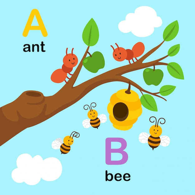 Alphabet Letter A for ant, B for bee, illustration