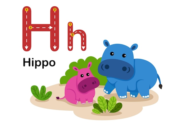 Alphabet Letter HHippo with cartoon vocabulary illustration vector