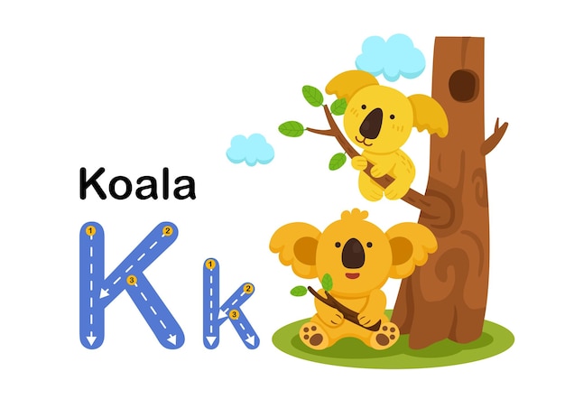 Alphabet Letter KKoala with cartoon vocabulary illustration vector