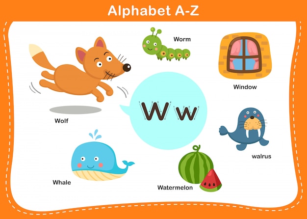 Alphabet Letter W   illustration