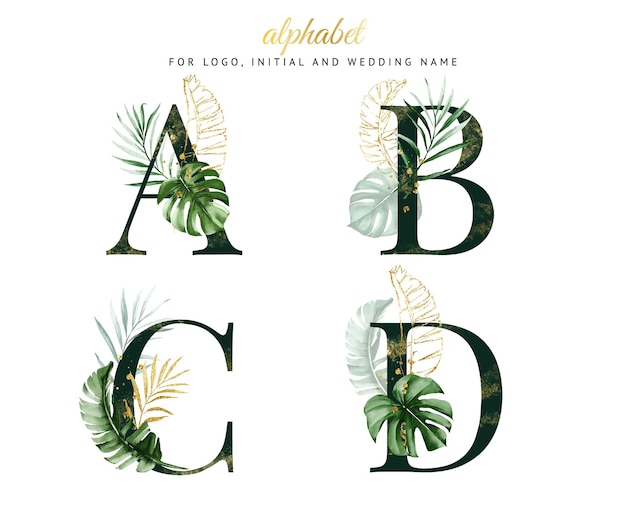 Alphabet set of a, b, c, d with green tropical watercolor. for logo, cards, branding, etc