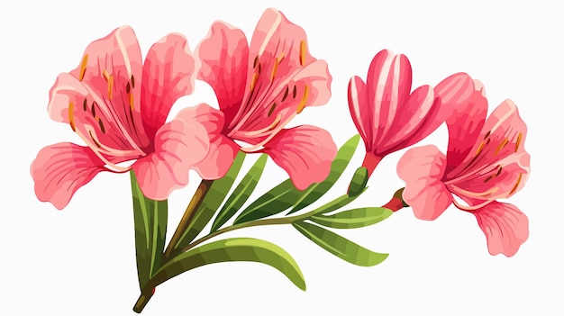 Alstroemeria Flower Clipart Isolated Vector Illustration