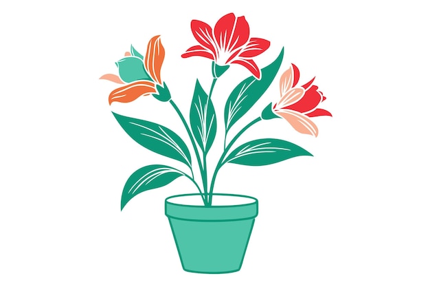 Alstroemerias with pot and white background J