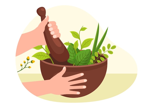 Alternative Medicine or Herbal Cure of Energy Therapies with Ginseng Root and Seeds in Illustration