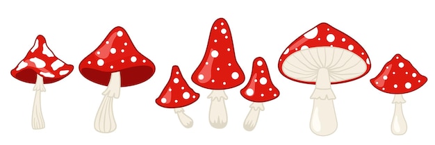 Amanita mushroom Fly agaric white spotted red mushrooms and forest toadstool vector illustration set