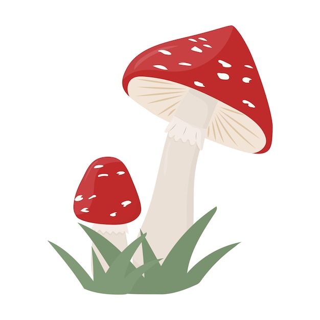 Amanita mushroom