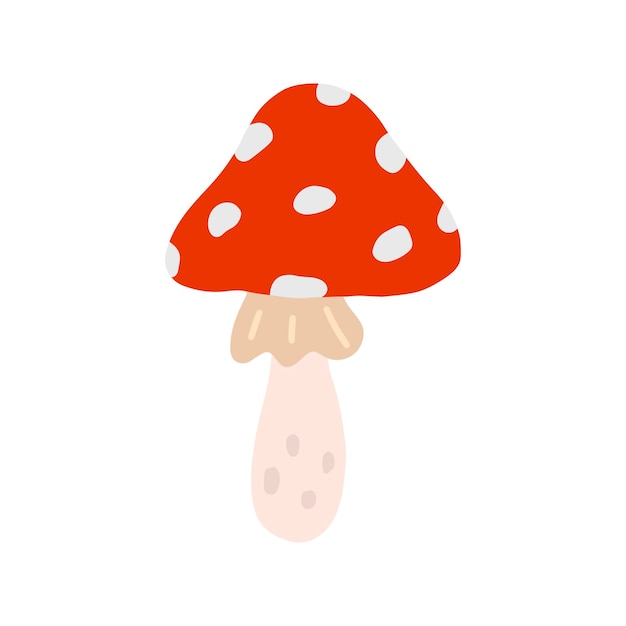 Amanita vector flat illustration on white background