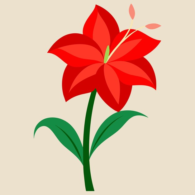 Amaryllis Flower Vector Illustration HighQuality Floral Art Design