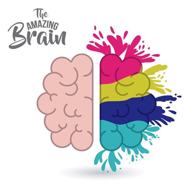 Vector the amazing brain isolated vector illustration design