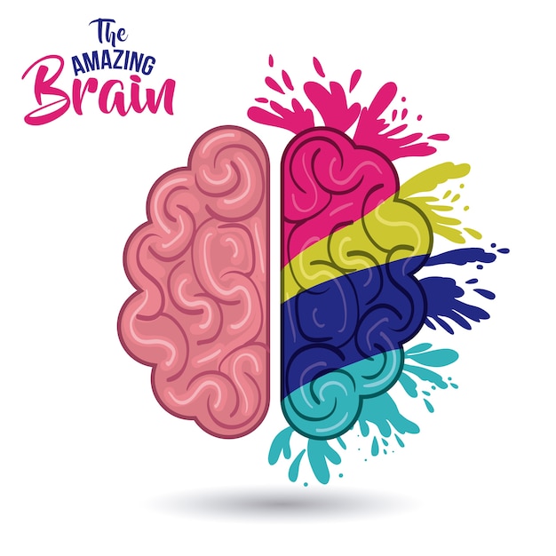 the amazing brain isolated vector illustration design