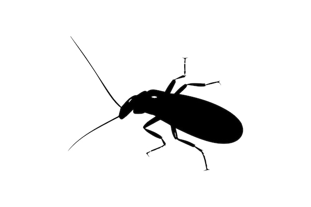 American Cockroach icon