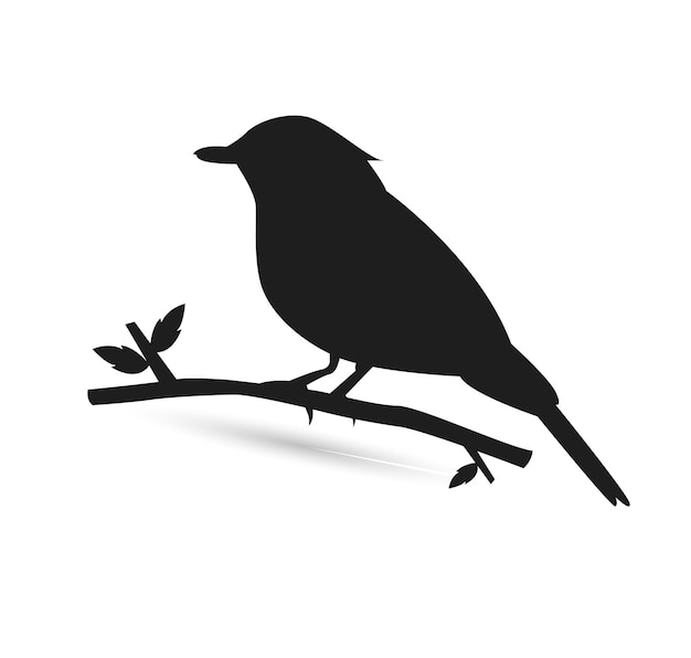 American Crow vector Advertising Fauna Silhouette