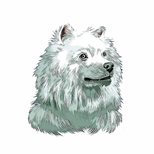 American Eskimo Dog Watercolor Sketch Hand Drawn Illustration