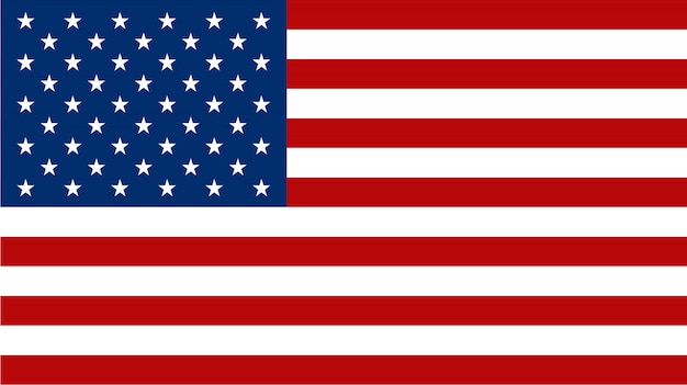 American flag on flat style