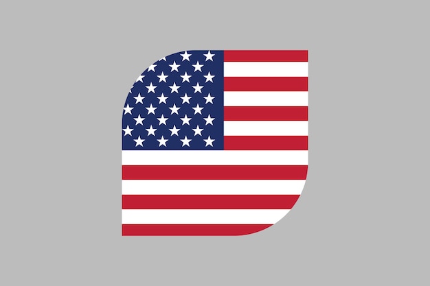 Vector american flag sign usa vector illustration vector flag of usa united states coloured usa flag