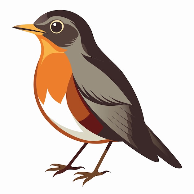 Vector american robin bird clip art vector illustration design