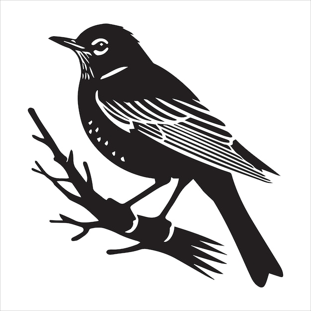 American Robin Bird Silhouette Clipart Design American Robin vector illustration in black and wh