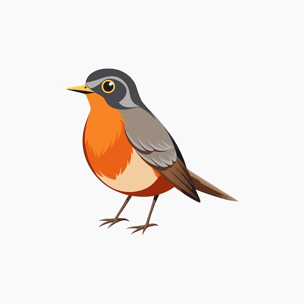 Vector american robin silhouette art and hand drawn bird outline illustration